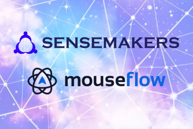 Sensemakers-Mouseflow